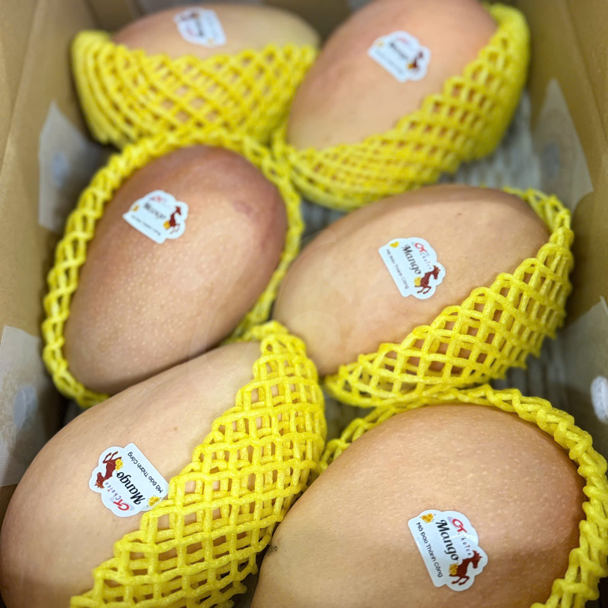 CT Choice Xoài Tượng Hồng Việt Nam By Air 5kg