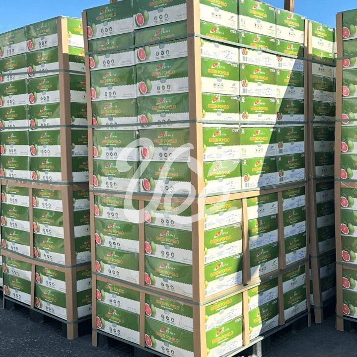 Ben Tre Red Pomelo Viet Nam Tropical Fruit 1 Count