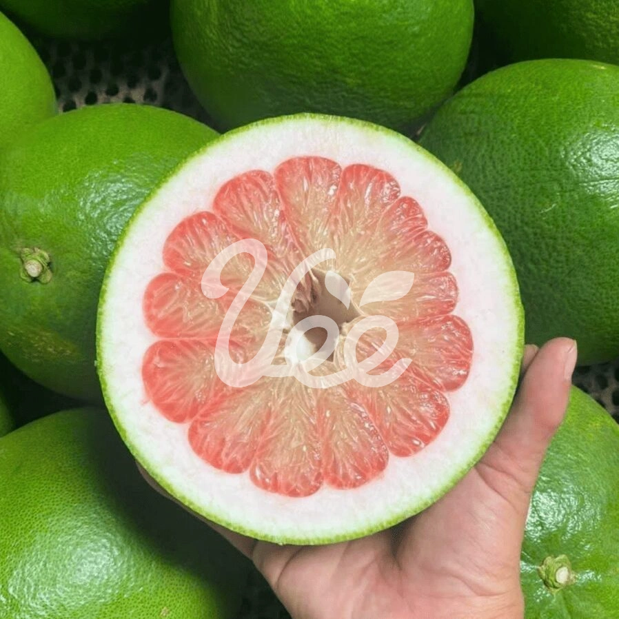 Ben Tre Red Pomelo Viet Nam Tropical Fruit 1 Count