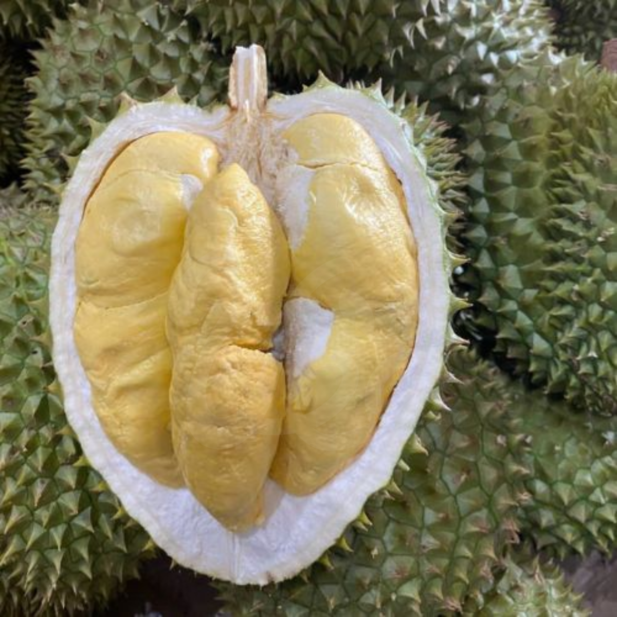 [PNCB] Ri6 Durian with Seed 400g/ Sầu Riêng Ri6 tách sẵn hộp