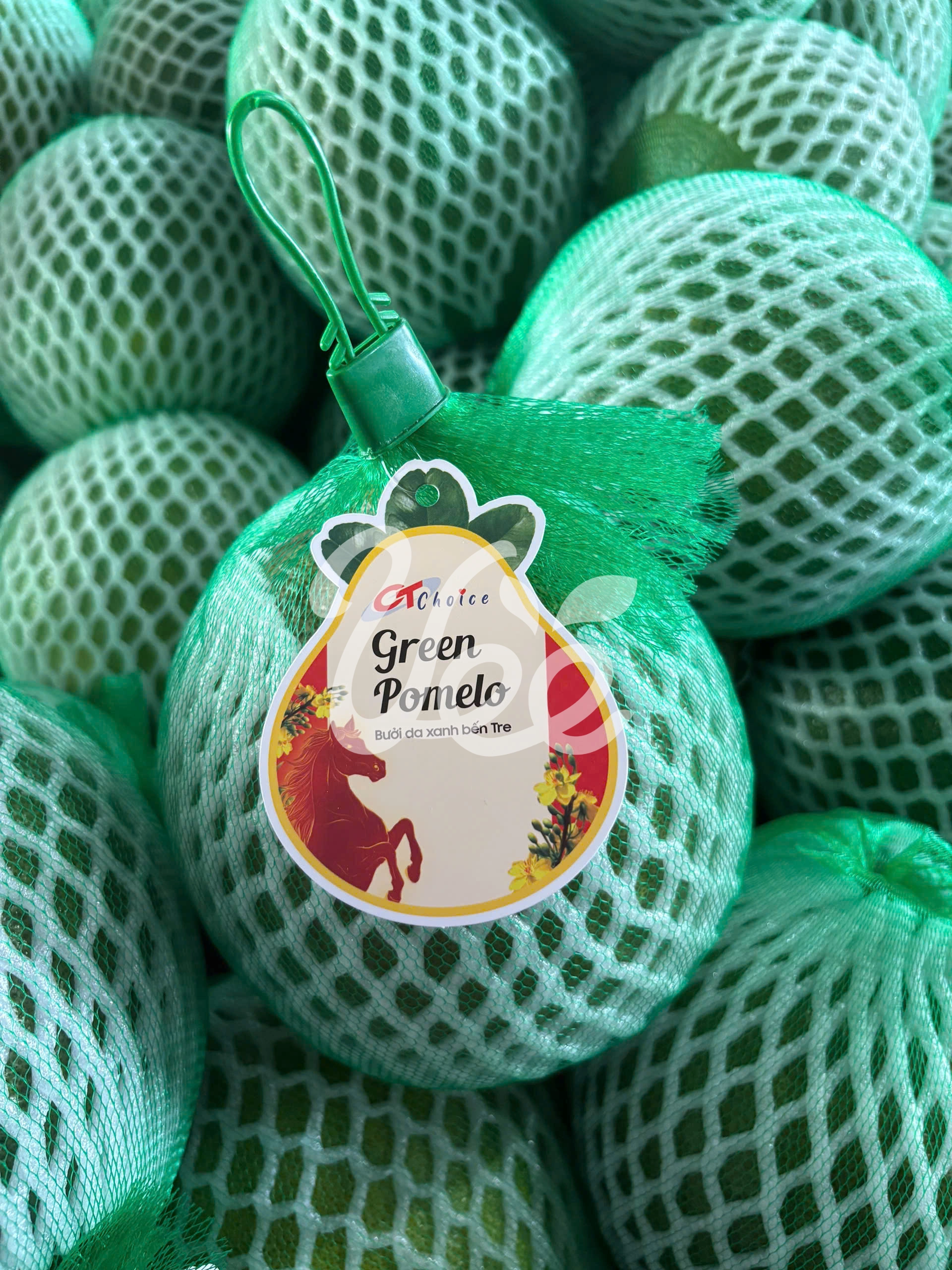 Ben Tre Red Pomelo Viet Nam Tropical Fruit 1 Count