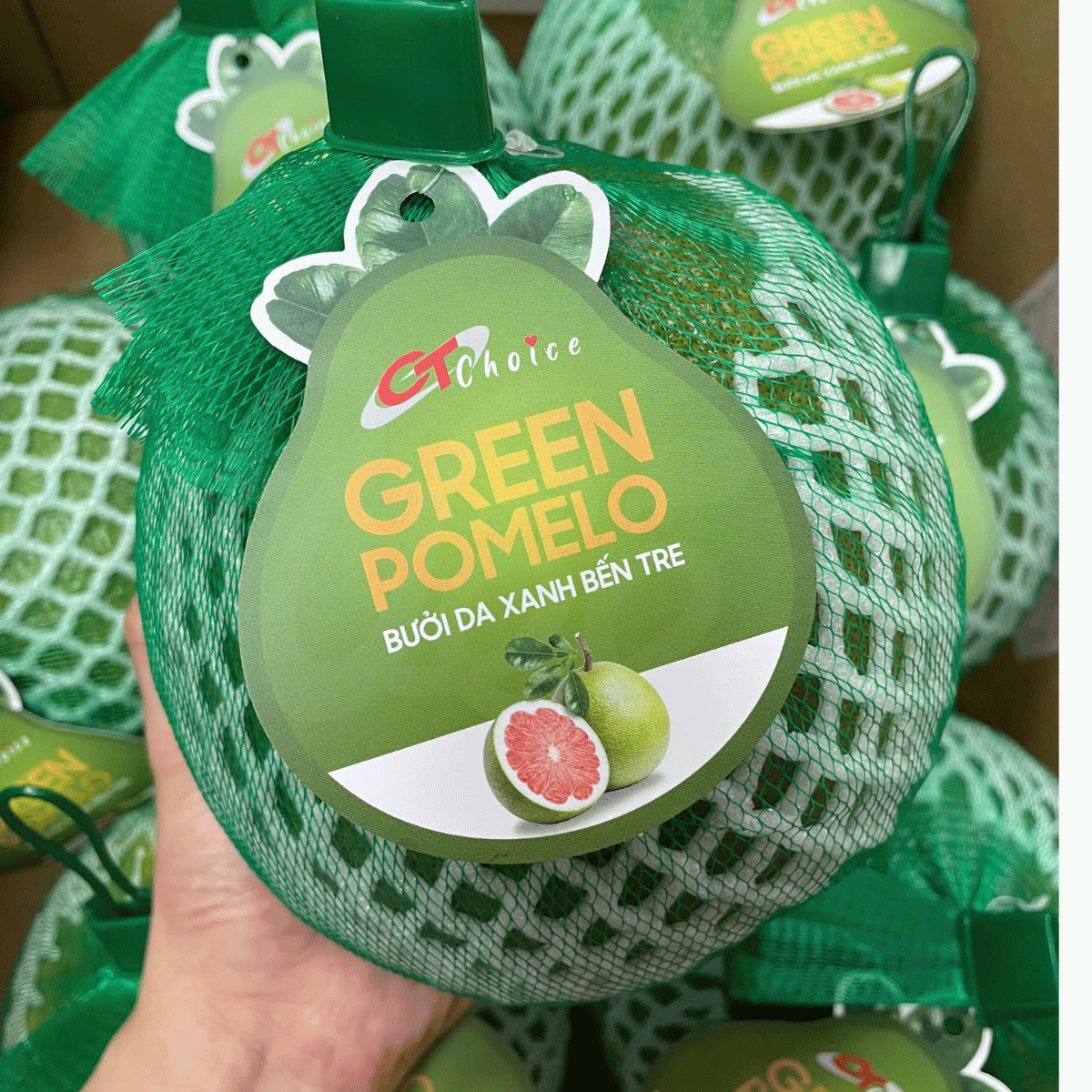 [CT Choice] Ben Tre Red Pomelo Viet Nam Tropical Fruit 1 ct