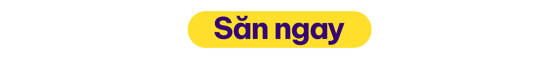 Page banner