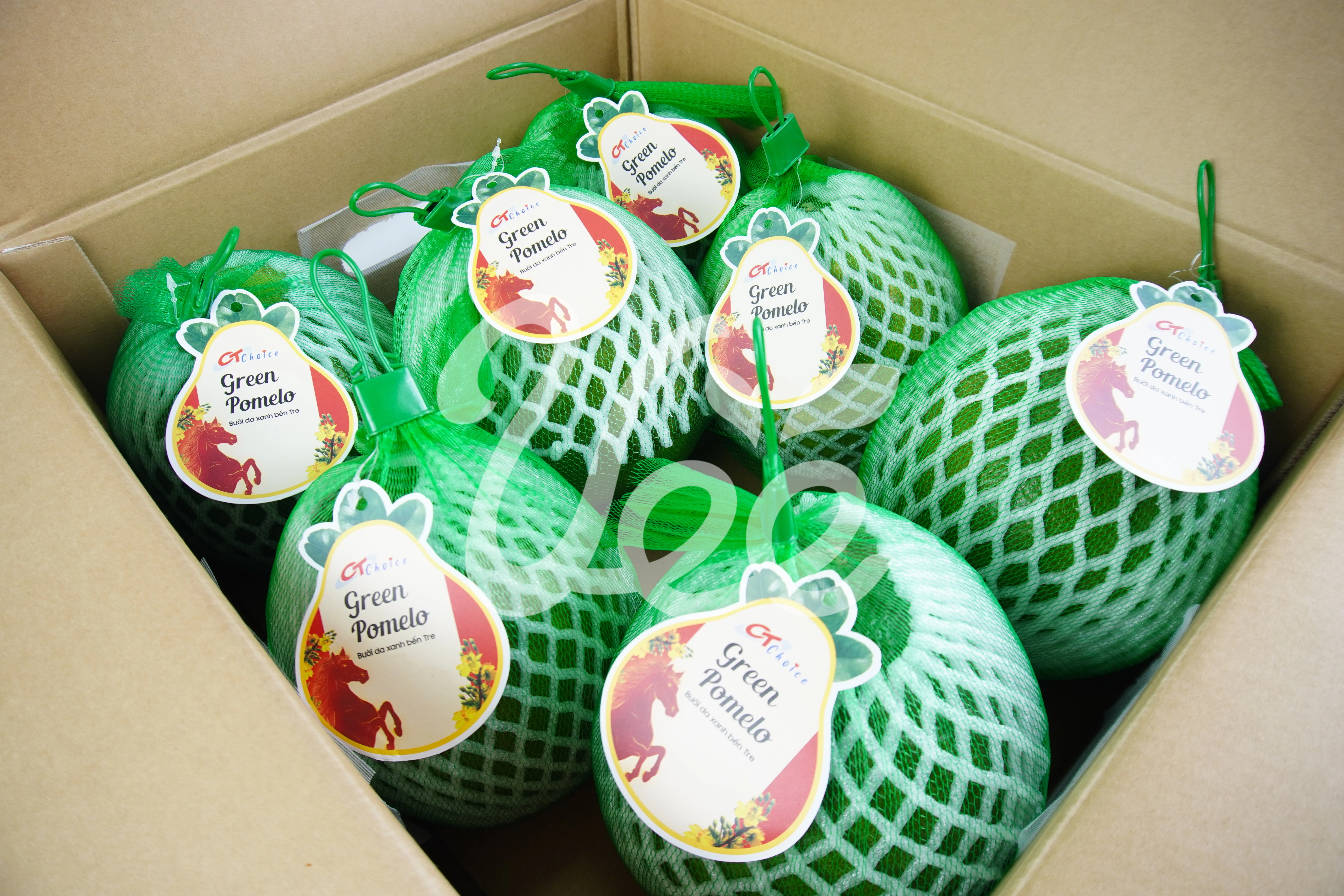 Ben Tre Red Pomelo Viet Nam Tropical Fruit 1 Count