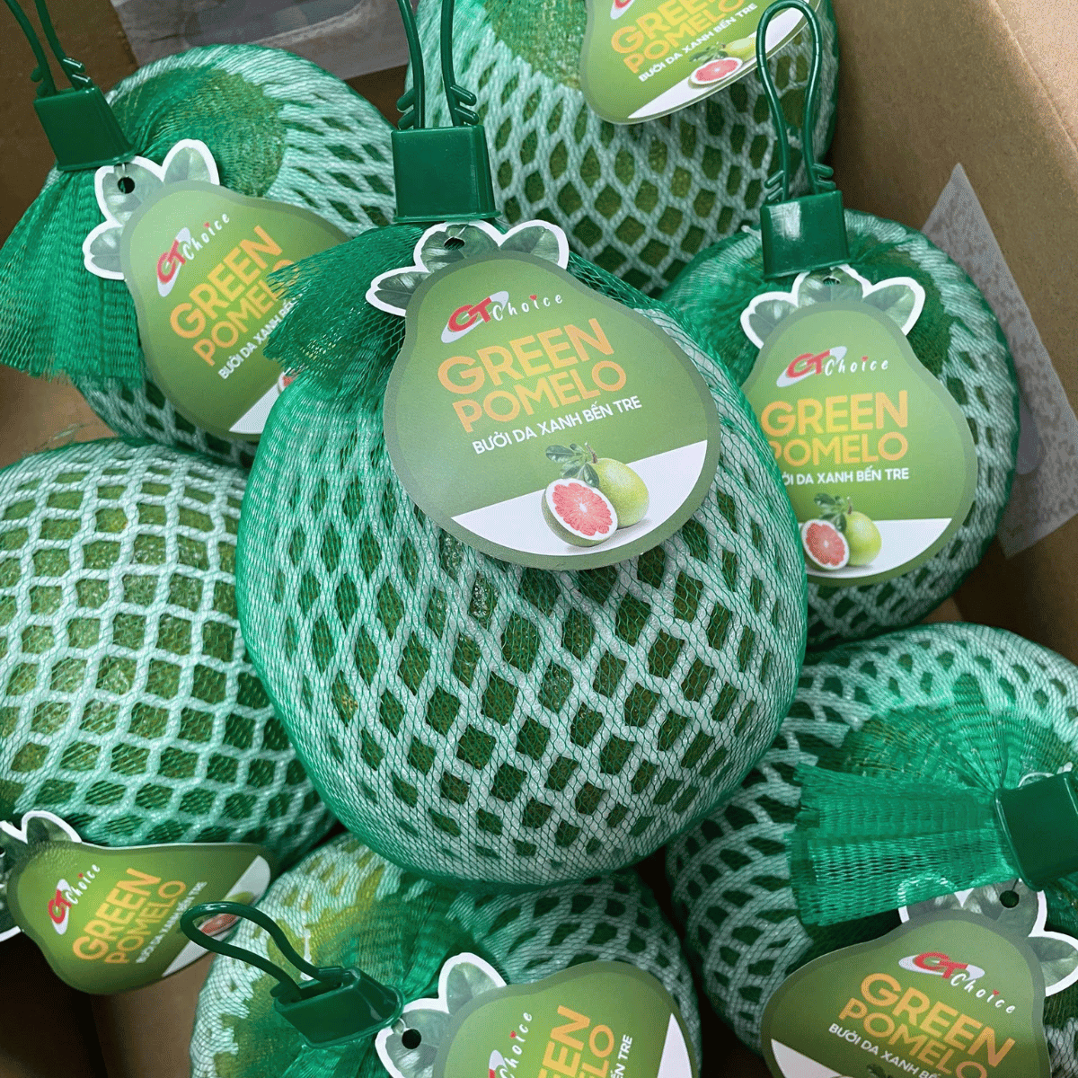 [CT Choice] Ben Tre Red Pomelo Viet Nam Tropical Fruit 1 ct