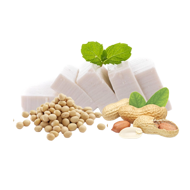 Tofu & Vegan